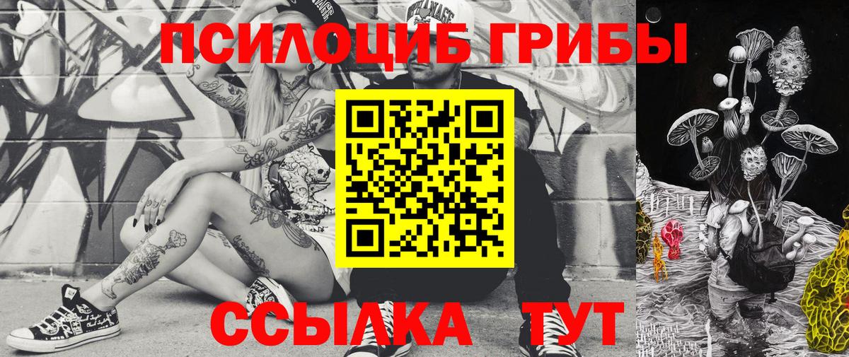 Жигулёвск  Псилоцибиновые грибы Magic Shrooms  Вход с VPN  Псилоцибиновые грибы GOLDEN TEACHER 