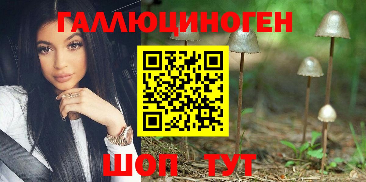 Галлюциногенные грибы Psilocybe Жигулёвск